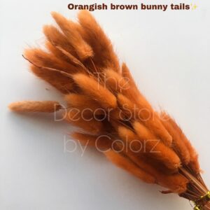 Bunny Tails (Orangish Brown)