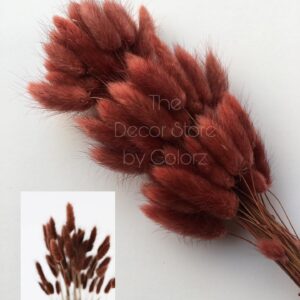 Bunny Tails (Reddish Brown)