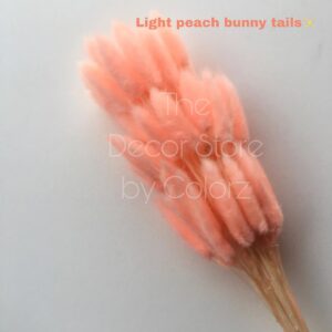 Bunny Tails (Light Peach)