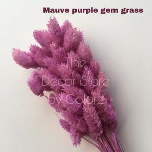 Dried Gem Grass (Mauve Purple)