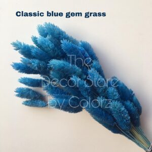Dried Gem Grass (Classic Blue)
