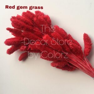 Dried Gem Grass (Red)