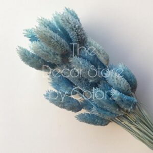 Dried Gem Grass (Sky Blue)