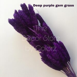 Dried Gem Grass (Deep Purple)