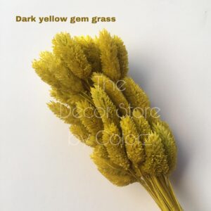 Dried Gem Grass (Dark Yellow)