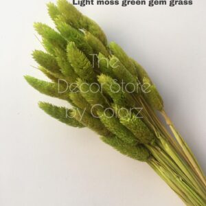 Dried Gem Grass (Light Moss Green)