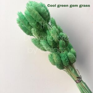 Dried Gem Grass (Cool Green)