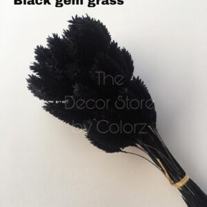 Dried Gem Grass (Black)