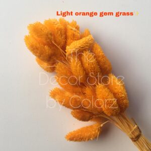 Dried Gem Grass (Light Orange)