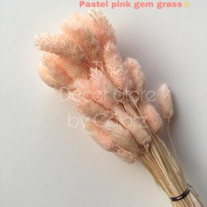 Dried Gem Grass (Pastel Pink)