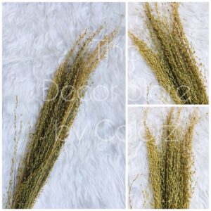 Dried Leaves (Natural)