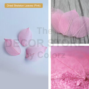 Dried Skeleton Leaves (Pink)