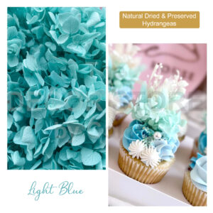 Dried Hydrangea Flowers (Light Blue)