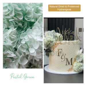 Dried Hydrangea Flowers (Pastel Green)