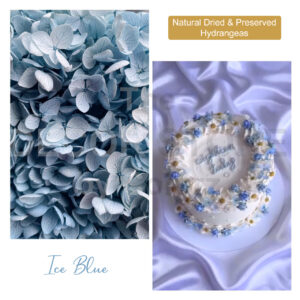 Dried Hydrangea Flowers (Ice Blue)