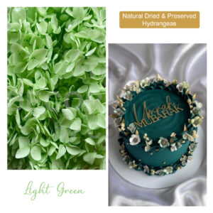 Dried Hydrangea Flowers (Light Green)