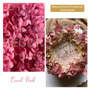 Dried Hydrangea Flowers (Coral Pink)