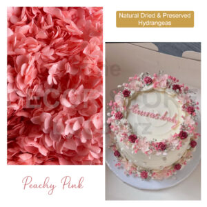 Dried Hydrangea Flowers (Peachy Pink)