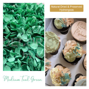 Dried Hydrangea Flowers (Teal Green)