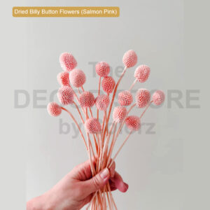Dried Billy Button Flowers (Salmon Pink)