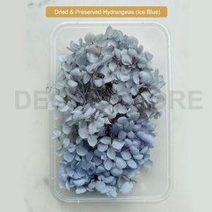 Dried & Preserved Hydrangeas (Ice Blue)