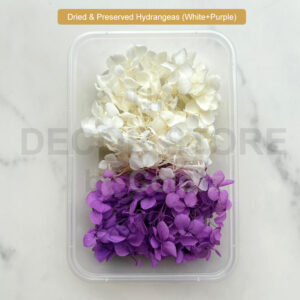 Dried & Preserved Hydrangeas (Medium Purple+White)