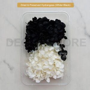 Dried & Preserved Hydrangeas (Black+White)