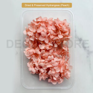 Dried & Preserved Hydrangeas (Peach)