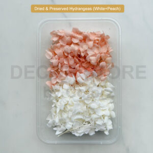 Dried & Preserved Hydrangeas (Peach+White)