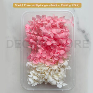 Dried & Preserved Hydrangeas (Medium Pink+White)